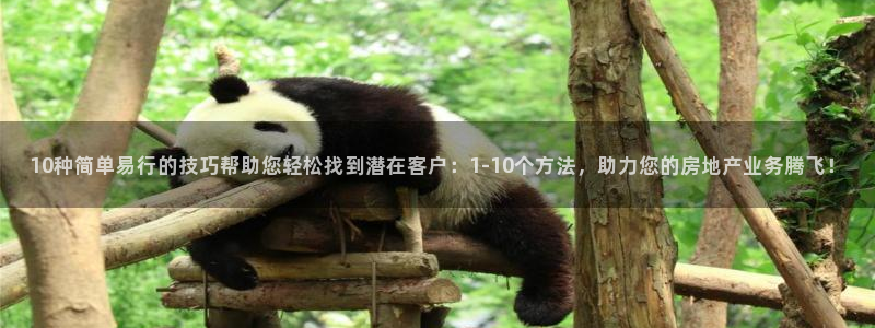 新宝5平台登录：10种简单易行的技巧帮助您轻松找到潜在客户：