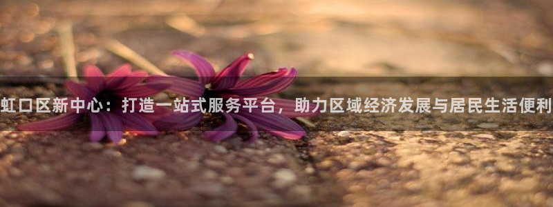 新宝5内部：虹口区新中心：打造一站式服务平台，助力区域经济发