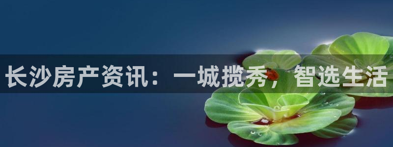 新宝6霸哥5：长沙房产资讯：一城揽秀，智选生活