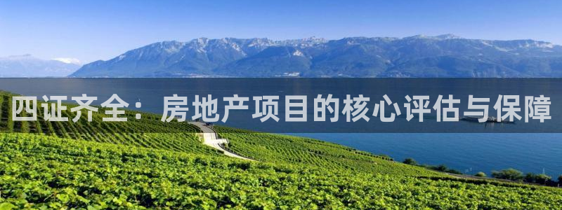 新宝m2O5O5O：四证齐全：房地产项目的核心评估与保障