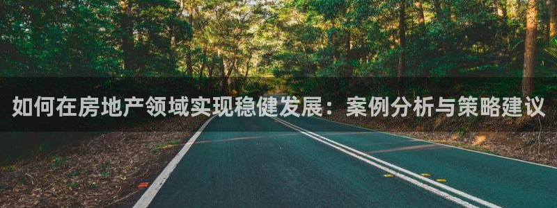 新宝5是什么样子的：如何在房地产领域实现稳健发展：案例分析与