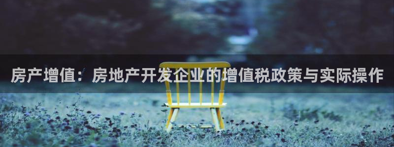 新宝5如何下载：房产增值：房地产开发企业的增值税政策与实际操