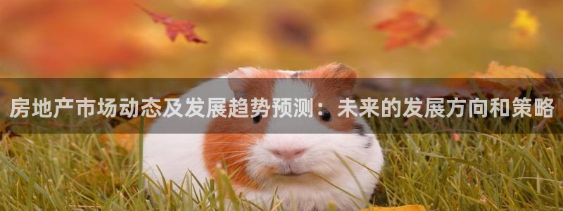 新宝5注册平台：房地产市场动态及发展趋势预测：未来的发展方向