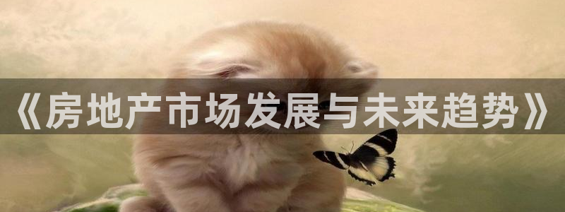 新宝5娱乐登录：《房地产市场发展与未来趋势》